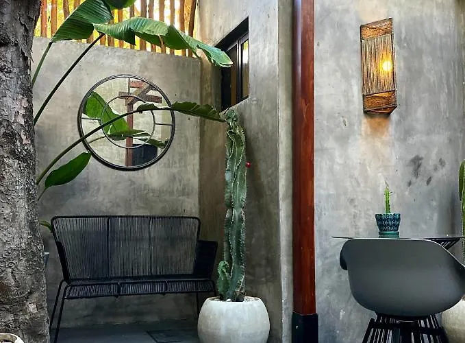 Lote4 - Lgbtq Playa del Carmen
